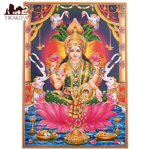 k66cm×47cmlCh̃qhD[_l|X^[ NV~ / NV~[ _l|X^[ {  XebJ[ |XgJ[h |X^[yr[500~N[| v[gz