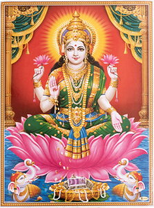 k67cm×49cmlCh̃qhD[_l|X^[ NV~[ / _l|X^[ {  XebJ[ |XgJ[h |X^[yr[500~N[| v[gz