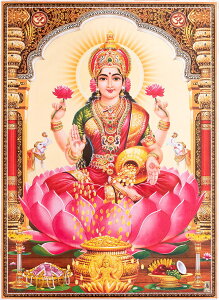 k67cm×48cmlCh̃qhD[_l|X^[ NV~[ / _l|X^[ {  XebJ[ |XgJ[h |X^[yr[500~N[| v[gz