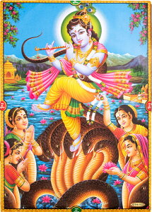 k69cm×47cmlCh̃qhD[_l|X^[ NVi / _l|X^[ {  XebJ[ |XgJ[h |X^[yr[500~N[| v[gz