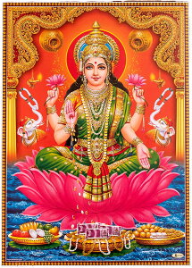 k66cm×47cmlCh̃qhD[_l|X^[ NV~[ / _l|X^[ {  XebJ[ |XgJ[h |X^[yr[500~N[| v[gz