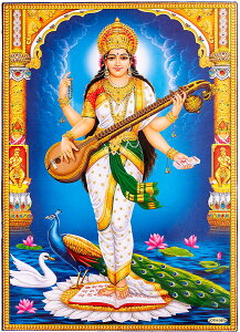 k66cm×47cmlCh̃qhD[_l|X^[ TX@eB / _l|X^[ {  XebJ[ |XgJ[h |X^[yr[500~N[| v[gz