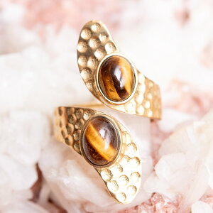 yS̃t[TCYzCh̃yCY[S[hVR΃O / w ANZT[ F _l oO GXjbN AWA ANbg sAX rfB[