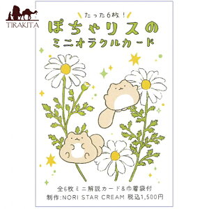 ۂ჊X̃~jINJ[h Pocha Squirrel Mini Oracle Card / 肢 J[h肢 ^bg NORI STAR CREAM p֘AS m} R[q[J[h Ch {  XebJ[ |XgJ[h 