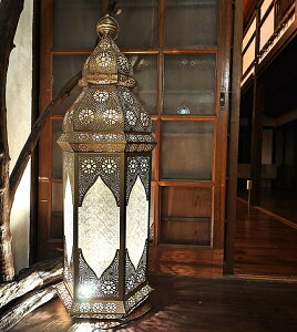 yz JX^C̃S[htA^y 111cm   ēׂȂz / ArAv Jv y_gCg V[OCg ǂCg TIRAKIT