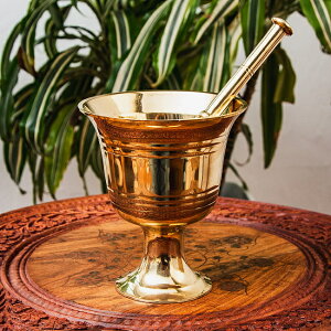 yz I[ZeBbNŃGKgȐ^J̃XpCXOC_[ F14cm / 蔫 J[ Ԃ XpCX~  ChJ[  H AWAHi GXjb