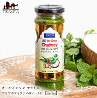 オールインワン チャトニ サモサやティファンのソースに【Sartaj】 / チャッツネ チャツネ タレ 豆類 ス…