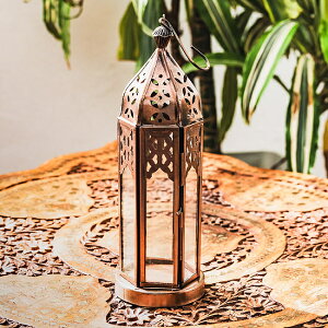 bRX^C Lh^ ݂艺^X^hpyE\NLEDLhtz F22cm F7cmx / LhX^h Lhz_[ LEDLhCg AW