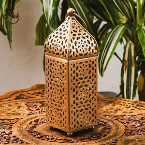 bRX^C Lh^ ݂艺^X^hpyE\NLEDLhtz F22.5cm F6.5cmx / LhX^h Lhz_[ LEDLhCg A