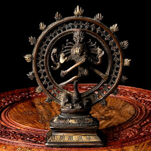 ԌSuperSale yz _VO V@ dȃuX 21cmx / i^W Vo J[[ Ch̐_l u GXjbN AWA G݁yr[1000~N[| v[