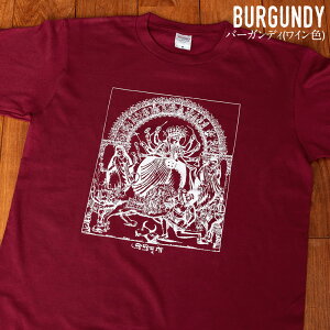 V hDK[ AeB[N Eȏ_hDK[ƃhDK[t@~[ TVc 5.6ozn  Rbg100% / jZbNX hDK[v[W  NV~ TX@eB 