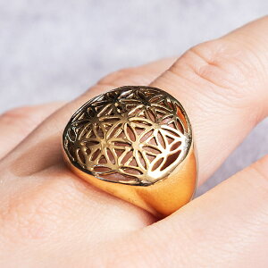 V[hIuCt uXO ̎ _􉽊w͗l̎w / ^J GlM[ F ANZT[ Ch _l oO GXjbN AWA ANbg sAX rfB[