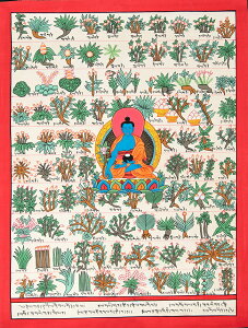 yz k_l^J `xbgwlT򑐐} 37x48cm /  }_ 䶗 ` lp[ `xbg ֑ɗ Ch {  XebJ[ |XgJ[h |X^[y