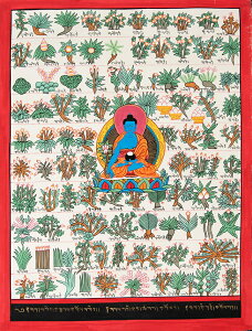 yz k_l^J `xbgwlT򑐐} 37x48cm /  }_ 䶗 ` lp[ `xbg ֑ɗ Ch {  XebJ[ |XgJ[h |X^[y