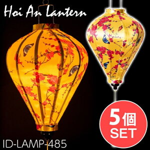 yz y5Zbgz؂₩ȕ xgi`̃zCA ^k񓔁l ق^kƓ̉Ԗ͗ll / CG[ zCA^ v CeA vVF[h AW