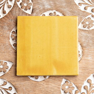 k10cm×10cmlu[|b^[ WCv[̐`fR[V^C /  WCv Lb` AWA CeA GXjbN