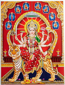 k40.5cm×30.5cmlP Ch̃qhD[_l|X^[ hDK[ ̏_ / f[@_ p[@eB[ Ch̐_l A|X^[ {  XebJ[ |XgJ[h