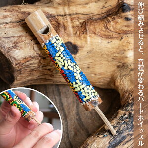 k12cmlς |̃o[hzCbX hbgyCgbo̎J Lяk݂i`y |J / |zCbX J y oG oyY Rfނ