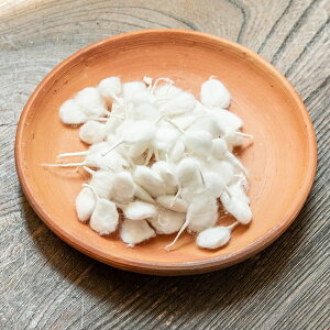 Rbg̓S 60炢 / c ICv 낤 c qpi Ch  CZX AWA GXjbN