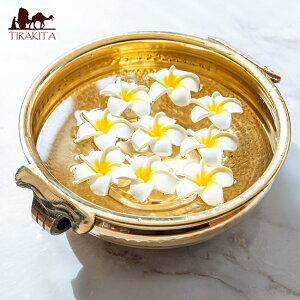 yz Eiurli^urulij Ch`̃A[F[_ ~ aF26cm / tbgoX  Xp{E  tbg{E EH[^[gC @ tbgXp Ԑ~