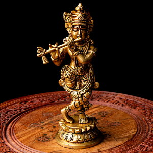 ԌSuperSale yz uX NVi_F23.5cm / NVi _l Ch̐_l u GXjbN AWA G݁yr[1000~N[| v[gz