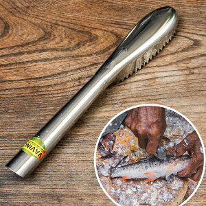 ChlVÃER 22cm / Lb`c[  XeX AWA  썑G  pi H  AWAH GXjbNH