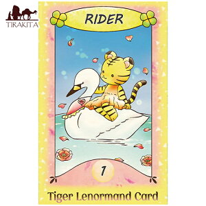 yz ^CK[m}J[h Tiger Girl Norman Cards / 肢 ^bg IN Xs`A { it@Ng[ p֘AS R[q[J[h Ch  XebJ[ 