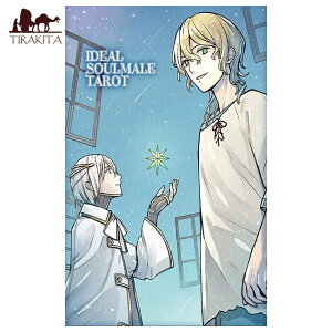 yz ACfA \EC ^bg Ideal Soul Mail Tarot / 肢 J[h IN m} Xs`A { it@Ng[ p֘AS R[q[J[h Ch 