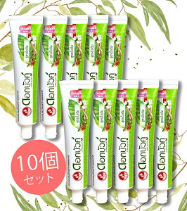 Dok Bua Ku �n�[�o�� �g�D�[�X�y�[�X�g �I���W�i�� HERBAL TOOTHPASTE ORIGINAL 25g / ������ ���݂��� �݂͂��� �n�~�K�L �A�[�������F�[�_ Twin Lotus(�c�C�����[�^�X) �������� ���ϕi �C���h �R�X��