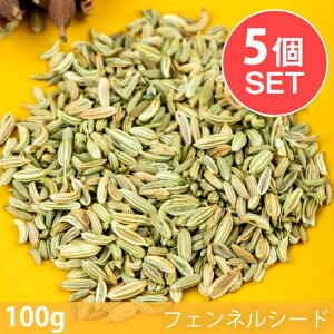 �y6�Z�b�g�z�y100g�z�t�F���l���V�[�h Fennel Seed / �X�p�C�X �n�[�u ���h�� �G�X�j�b�N���� �C���h �J���[ �A�W�A���H�i �G�X�j�b�N�H��