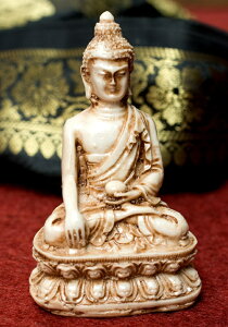 zCg ub_ 9cm / _l _l W Ch Ch̐_l u GXjbN AWA G