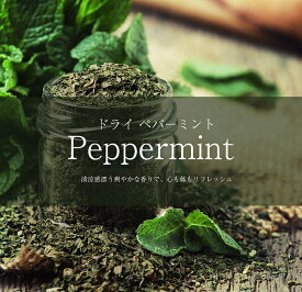 ペパーミント Peppermint【250gパック】 / スパイス ハーブ インドスパイス AMBIKA(アンビカ) カレー アジアン食品 エスニック食材