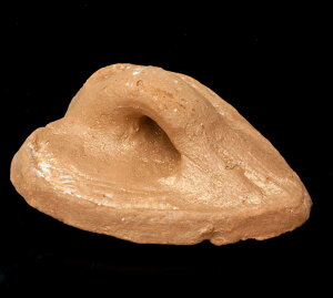 �y���A�i�z�f�Ă��̐���u���V / �C���h ���̑� �^�C �o�� �ς������� �G�X�j�b�N �A�W�A �G��