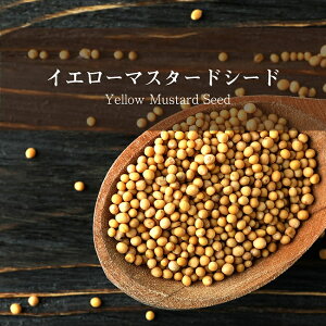 CG[ }X^[h V[h Yellow Mustard Seedy500gpbNz / }X^[hV[h XpCX z[XpCX ChH Ambika(ArJ) tFlO[N J[ AWAHi GXjbNH