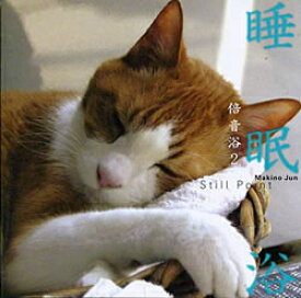 楽天市場 牧野 クリスタル ボウルの通販