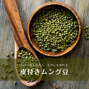Oz[ Moong Whole tΓy1kgpbNz / _[ O_ ArJ(AMBIKA)  XpCX J[ AWAHi GXjbNH
