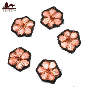 Ch̎hJAbvP  5Zbg y×sNz / | AWA by AWA lp[by z t@ubN GXjbN