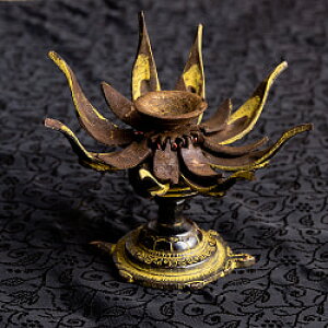 [^X̂LhX^h 11cm /  @̉ AWA GXjbN Ch G݁yr[500~N[| v[gz