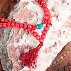 lp[̐ / Ch AWA GXjbN ANZT[ ANbg sAX O rfB[