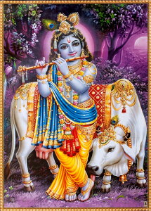 k70.5cm×50.5cml唻Ch̃qhD[_l|X^[ NVi N / Krishna qhD[ G _l|X^[ {  XebJ[ |XgJ[h