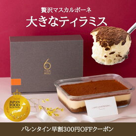 【300円OFF】バレンタイン 2026 ギフト 誕生日 大きな極上ティラミス ケーキ 冷凍ギフト贈答用 プレゼント ホームパーティー 冬ギフトデザート 洋菓子 スイーツ 取り寄せ お誕生日 高級 贅沢 送料無料 指定日配送可 ティラミスナンバー6
