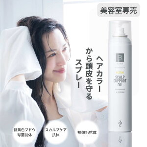 yX[p[SALE|Cg10{zJ[ p J[ی  PA ݂ 䂭Ȃ XLv T|[g IC pg[gg 170g wA[J[  u[` z