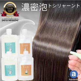シャンプー 専売品 詰め替え ボトル くせ毛 美容室専売 トリートメント お試しサイズ サロン専売 アミノ酸系 癖毛 ダメージ ボトル ダメージケア ノンシリコン 体色防止 低刺激 オーガニック 人気 日本製 口コミ おすすめ