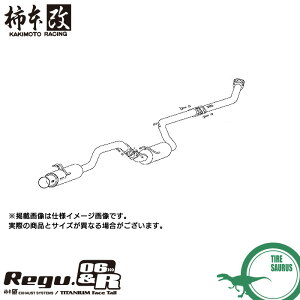 `{ }t[ H21379 VrbN [FD1](FF)(05/9`10/3)(NA) Regu.06 & R [J[i lzs / k KAKIMOTO RACING