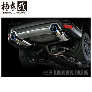 `{ }t[ B71363S tHX^[ SK5 Class KR SingleZ^[t '10KΉf [J[i lzsikj KAKIMOTO RACING `{ `{}t[