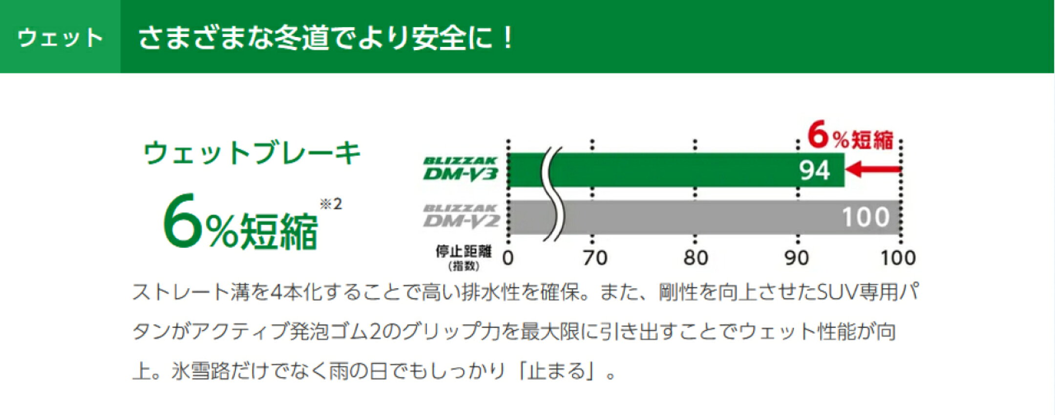 ブリヂストン ブリザックDM-V3 スタッドレス タイヤ Bridgestone