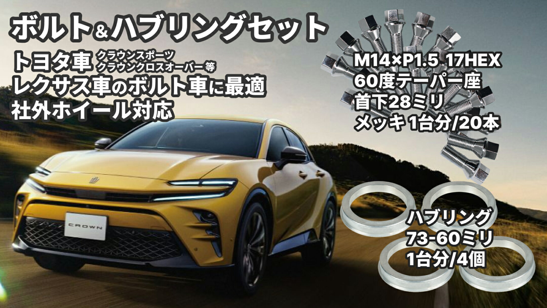 ボルト（メッキ）20個 + ハブリング 4個 セット