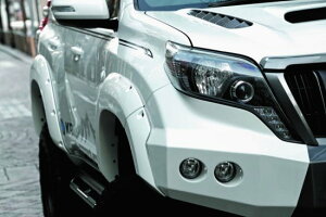 150vh KADDIS I[o[tF_[S[TYPE-XT KD-EX04009 PRADO  JX^ p[c [J[̈ב llzs lt͕ʓrςƂȂ܂BA