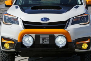 tHX^[SJ5p KADDIS t@Co[veNV [hnEX FORESTER  JX^ p[c [J[̈ב llzs lt͕ʓrςƂȂ܂B