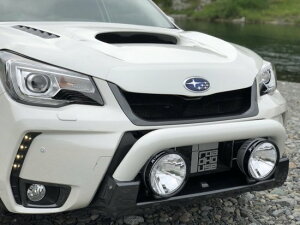 yőP10{z tHX^[@SJG@KADDIS@t@Co[veNV KD-EX12008 [hnEX FORESTER  JX^ p[c [J[̈ב llzs lt͕ʓr